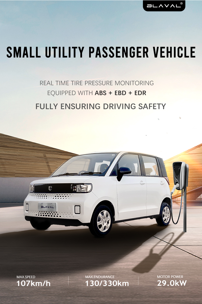 2024 Blaval EV Battery Range 300KM Electric Car Automatic Pure Electric Mini Car Long Battery Life with LED Headlight