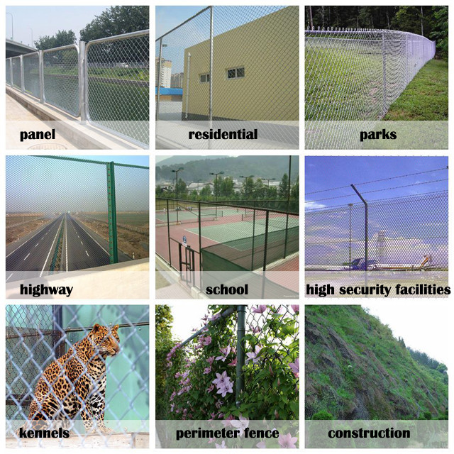 High Quality Galvaznied Reasonable Price PVC Coated Chain Link Wire Mesh Fence