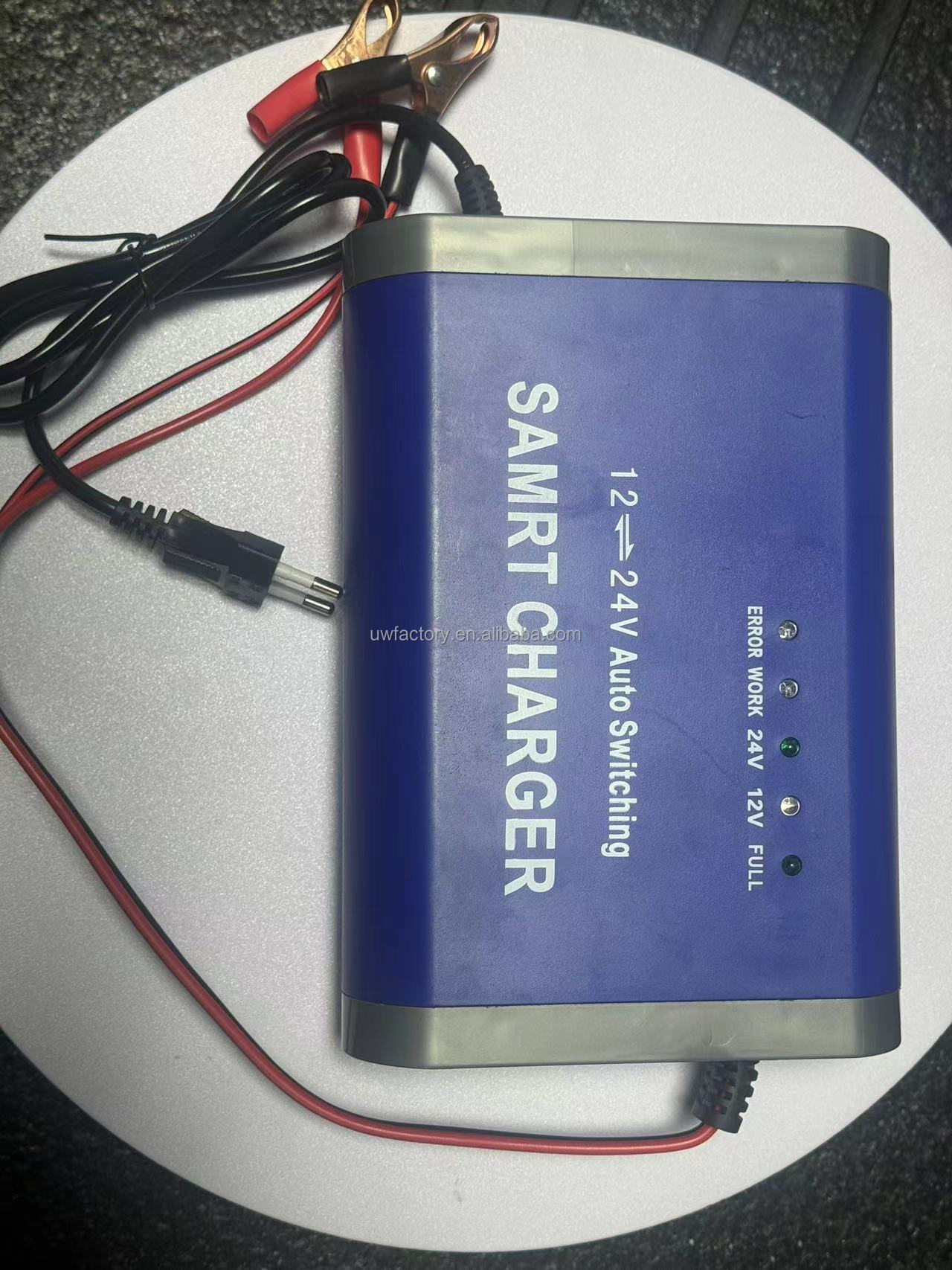 Private Mold Intelligent Automatic Motorcycle 12V10A 24V5A Pulse Repair Lead Acid Battery Charger with 125W Output Power