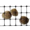 Buy cheap 40-40kn PP Biaxial Plastic Geogrid for Road Construction and Foundation from wholesalers