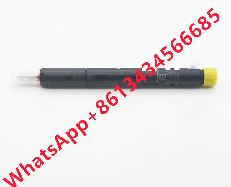 Ejbr04101d Fuel Injector Ejbr02101z 8200049876 166003978r Common Rail
