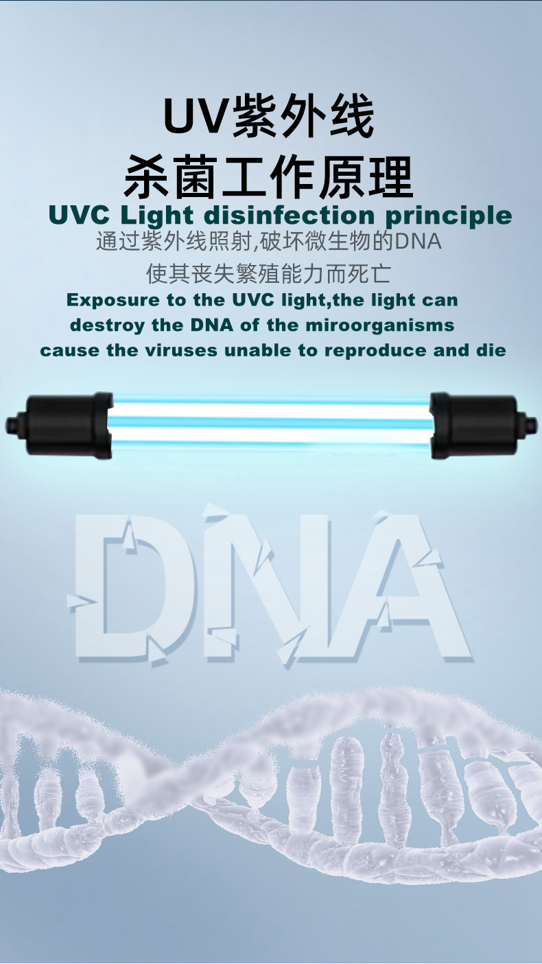 Toothbrush Cold Cathode Lamp UV light Deodorization Mobile Phone
