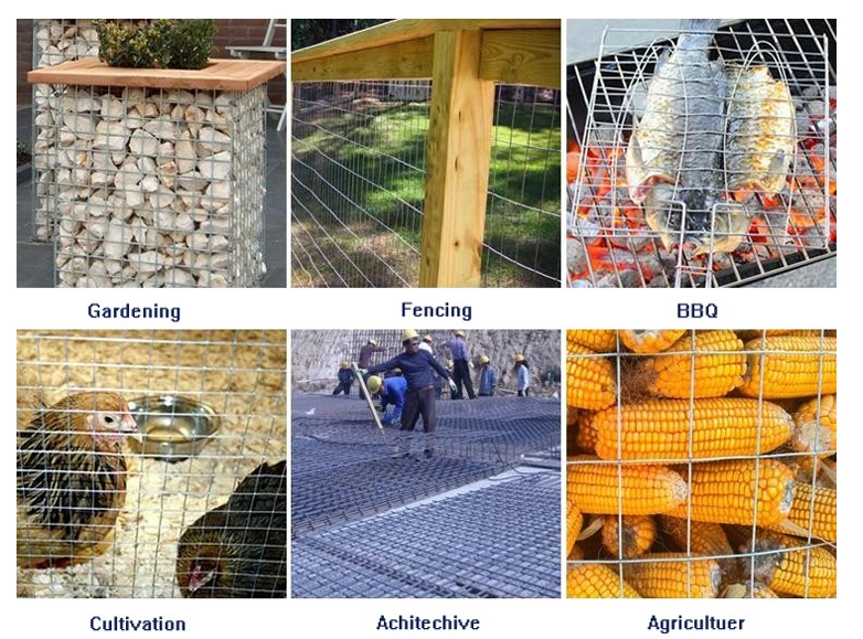 SUS316 Stainless Steel Welded Wire Mesh For Chemical Industry