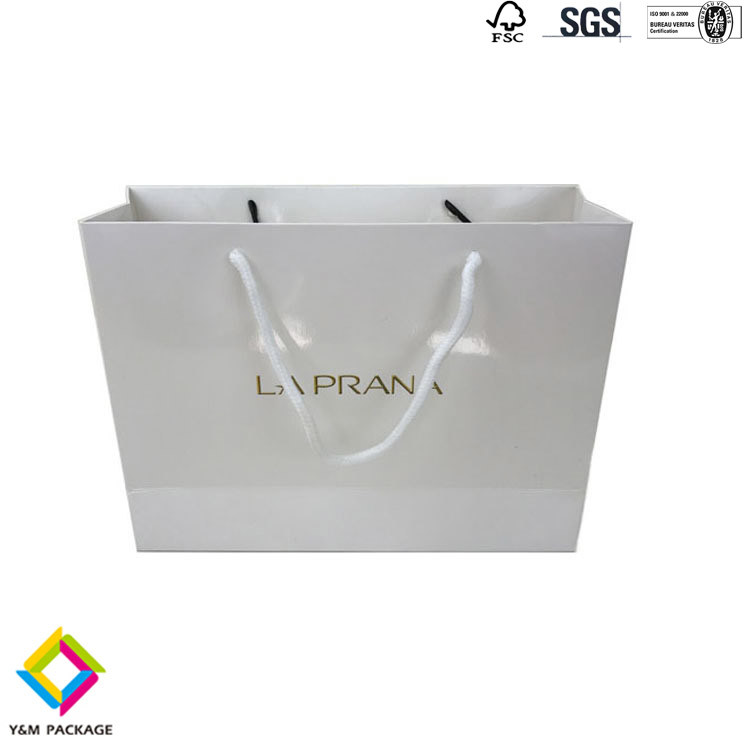 FSC Recyclable Custom Kraft Gift Paper Bags With Handle For Shopping Bag