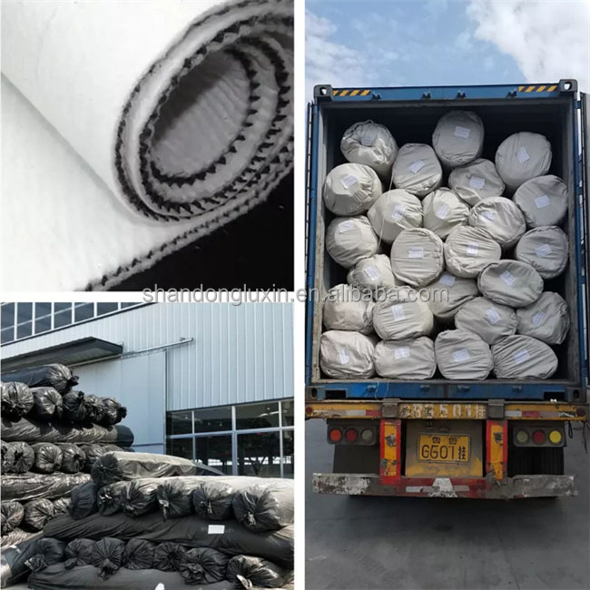 HDPE Mesh 3D Composite Drainage Composite Geo Net Geonet for Durable Drainage Solution