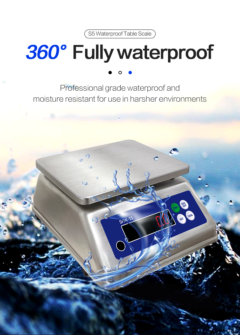 6kg Maximum Weighing Stainless Steel Scale with Dual Display and IP68 Waterproof Rating