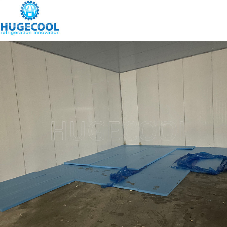 -60c Frozen Tuna Blast Freezer Deep Cold Room for Sale