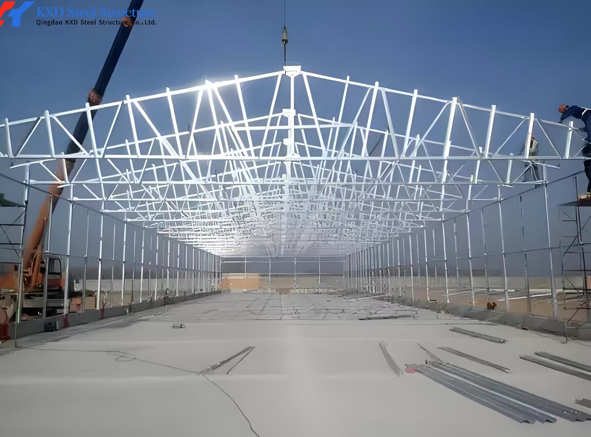 Complete Controlled Poultry Shed Prefabricated Steel Structure Chicken House for Farm Building