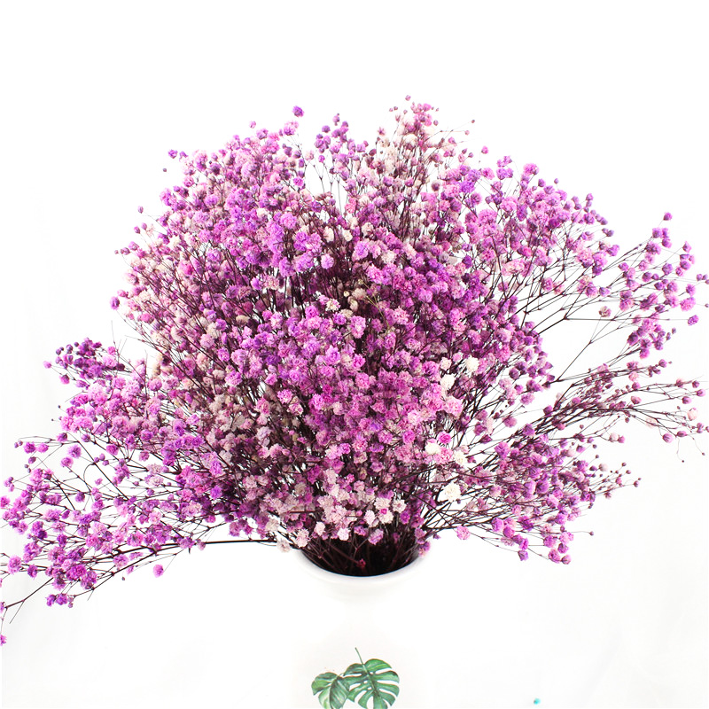 Non Toxic Harmless Preserved Baby Breath Flowers For Ins Valentine Gift