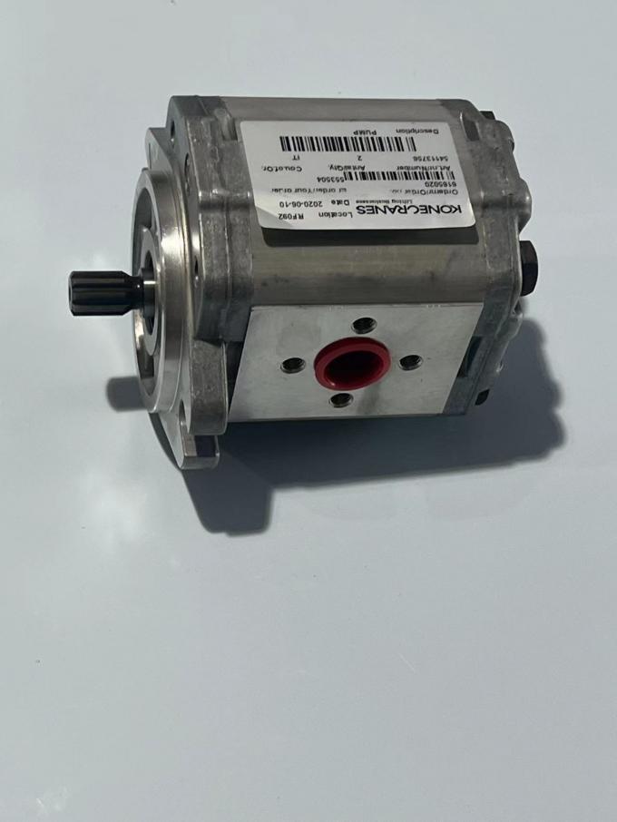 54113756 0009810445 Pump Konecranes Spare Parts OEM Long Lasting