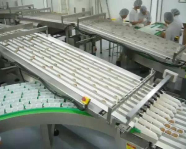 High Speed Biscuit Packing Line Food On Flat Automatic Biscuit Tray Packing