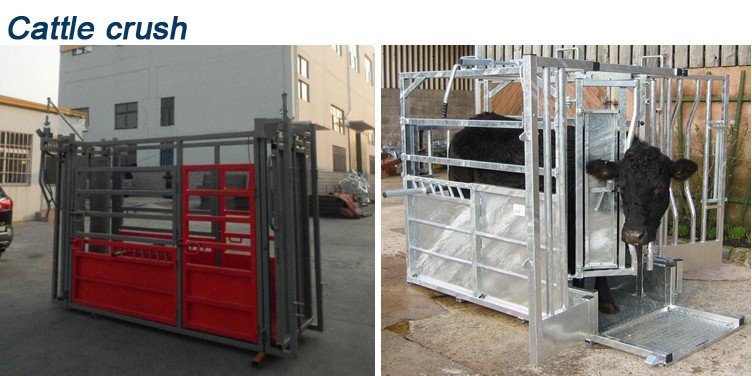 anping ASO fence factory wholesale bulk livestock cattle panels feedot equipment online