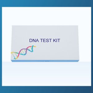 Gene Sequencing DNA Collection Kit Parent Child Relationship Detection Kit