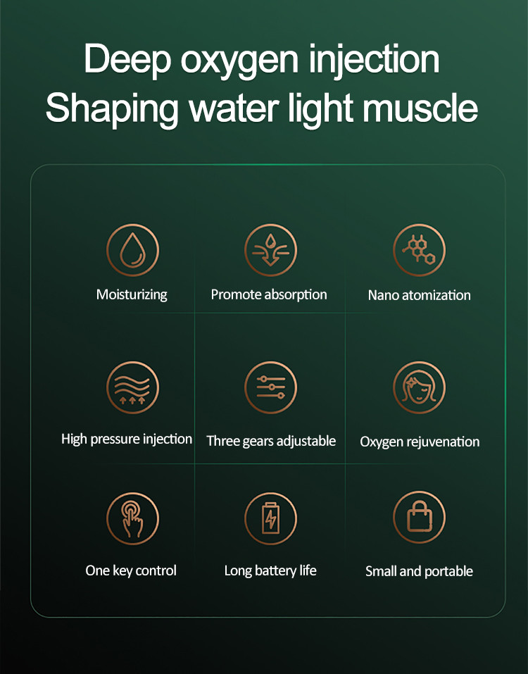 Customize Hyperbaric HandHeld Facial Skin Care Devices Mini Facial Atomization Sprayer