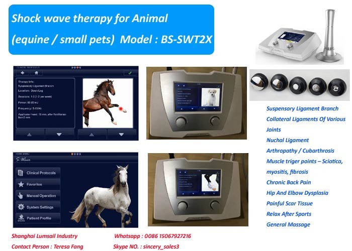 High Pressure Adjustable 1-22Hz Shockwave Machine For Horse Treatment