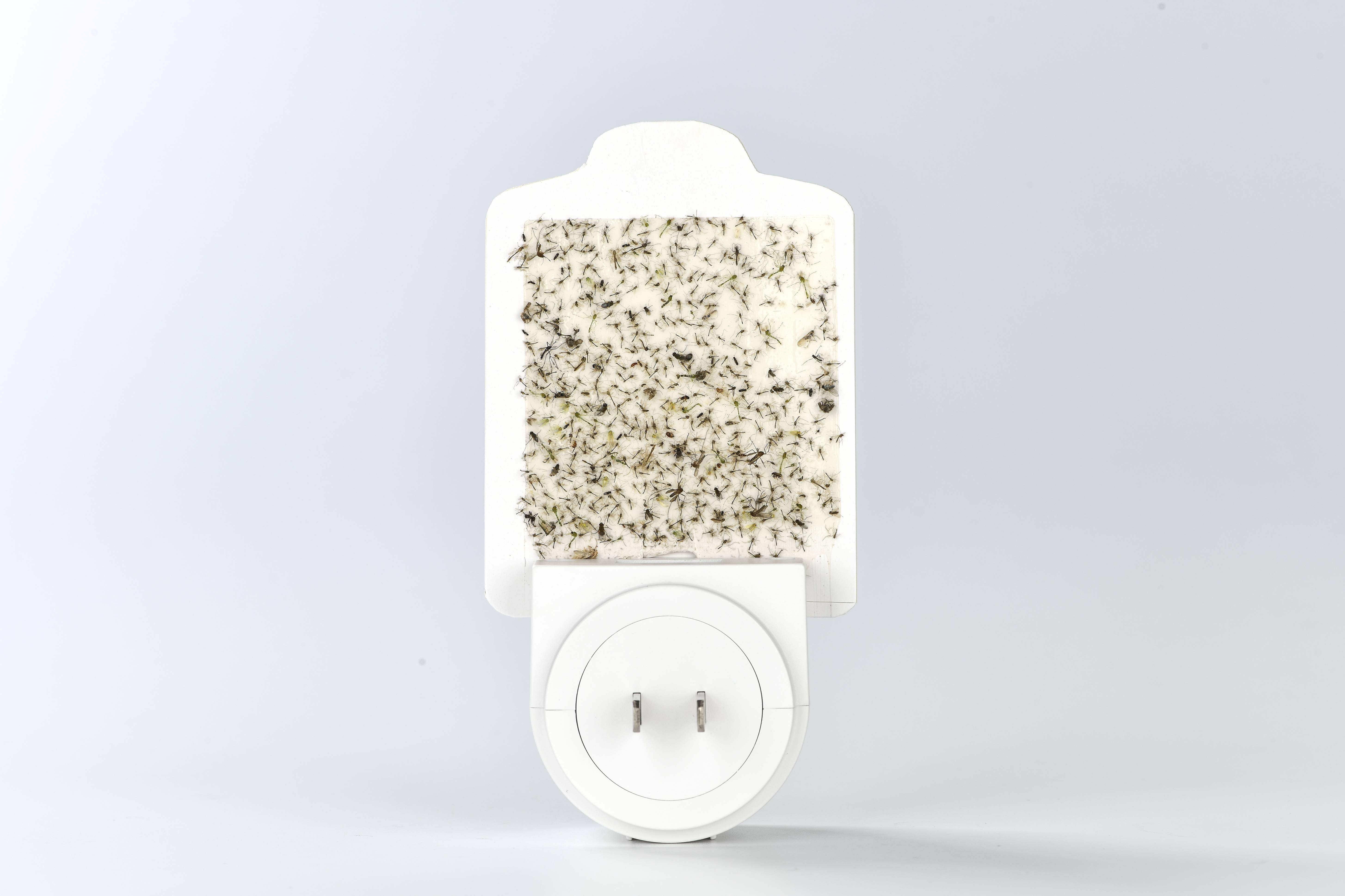 Mini UV395 Electric Mosquito Killing Plug-in Lamp with Solid State and Glue Paper