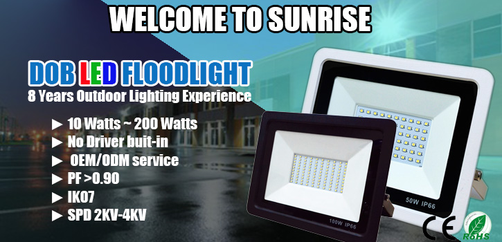 4KV IK07 IP66 LED Flood Lights 100W SMD Chips White Aluminum