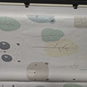 Refillable Big Ink Tank Color Printing Plotter for Fast and 120sqm/h Dual Way