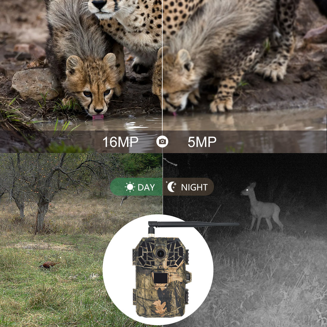 16MP 940nm IR Night Vision Hunting Camera 4G Cellular Game Camera