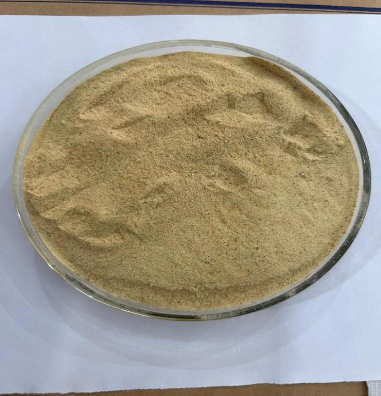 Brewers Yeast For Animal Feed With High Real Protein