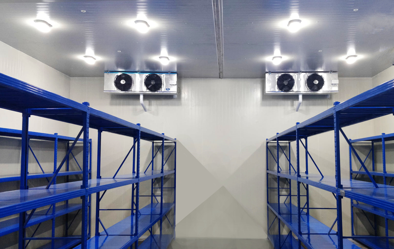 Cold Chain Storage Solutions Low Noise Walk-in Freezer High-Capacity Freezer Room