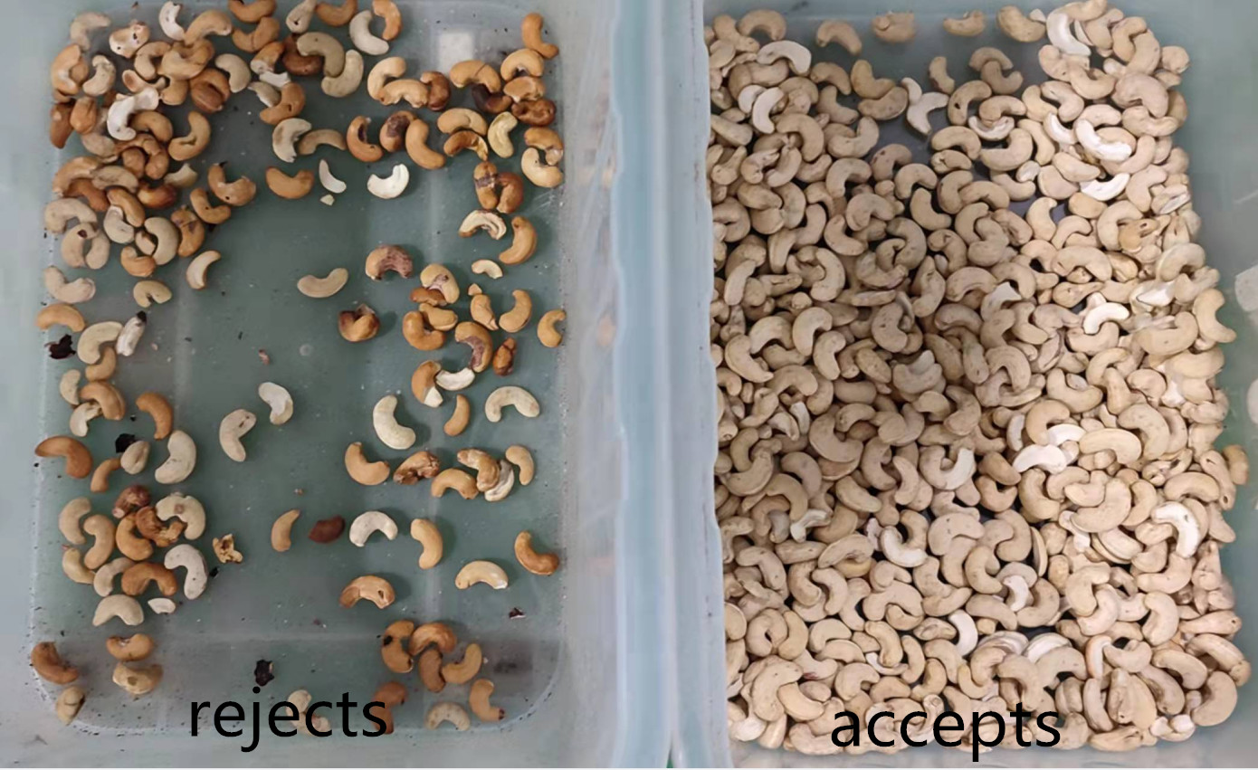 Wenyao AI Self Learning Cotton Seed Sesame Coix Seed Color Sorting Machine Compact