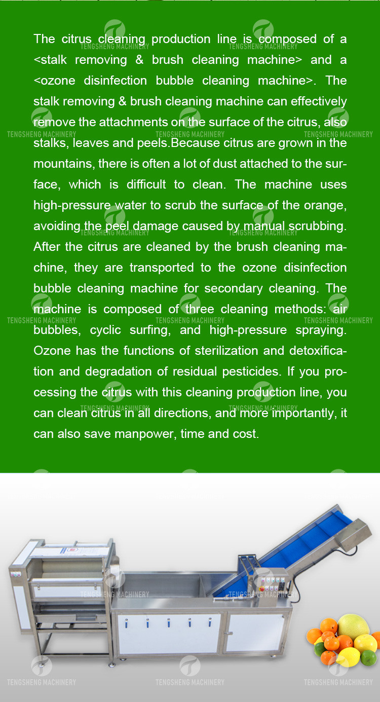 Citrus Stalk Eliminated Lemon Processing Machinery Industrial Air Bubble Brush