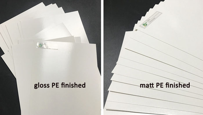 FDA Certified PE Laminated Single Side 300gsm 350gsm White FBB Board Sheets 