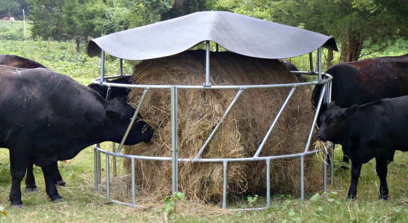 Cattle Crush Galvanized Livestock Fencing Galvanized Steel Fence
