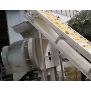 China citrus juice extract machine , citrus skin remover, citrus peeler equipment on sale