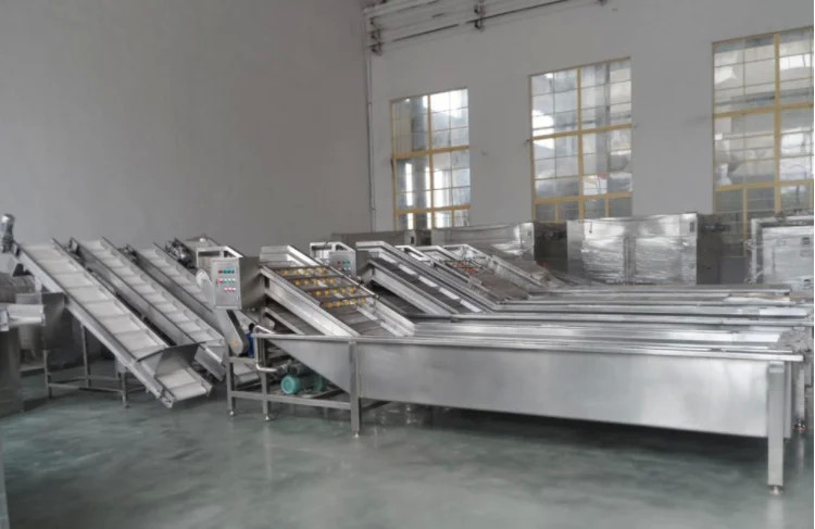3000W Fruit Vegetable Washing Machine Fully Automatic Multi Functional