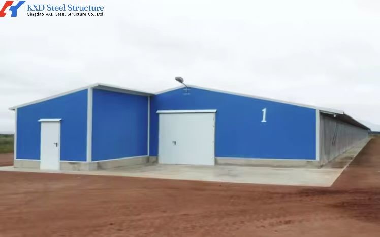Broiler Poultry Prefab Houses Steel Structure Fully Automated Chicken Farming Equipment