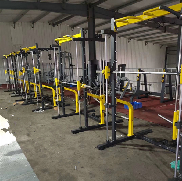 Gym Trainer Training Leg Press Pull-up Chest Press Squat Rack Power Rack