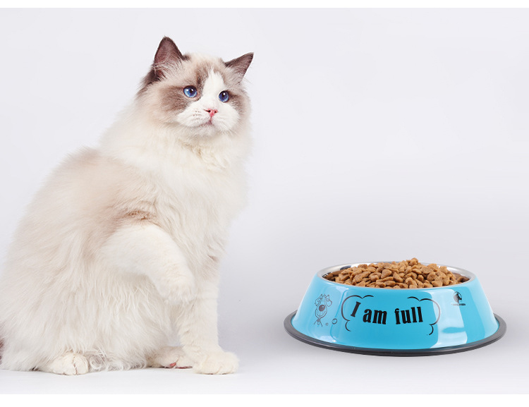 Stainless Steel Pet Cat Dog Bowls Feeders Customized Sublimation Non-Slip LCD Display NO
