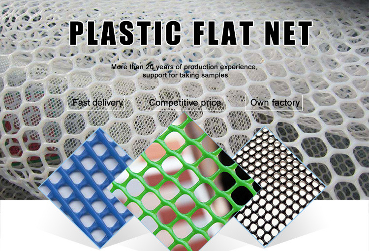Hexagonal Pe Plastic Flat Net Green Chicken Plastic Mesh Rolls