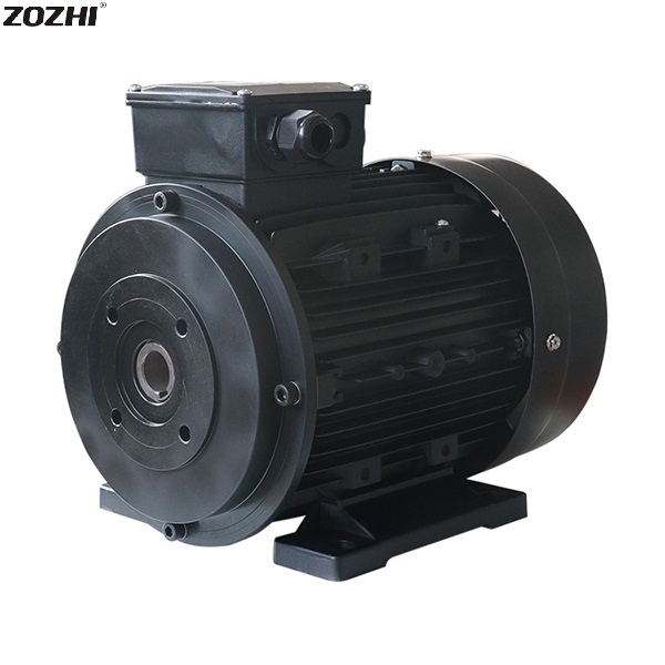 hollow shaft electric motor