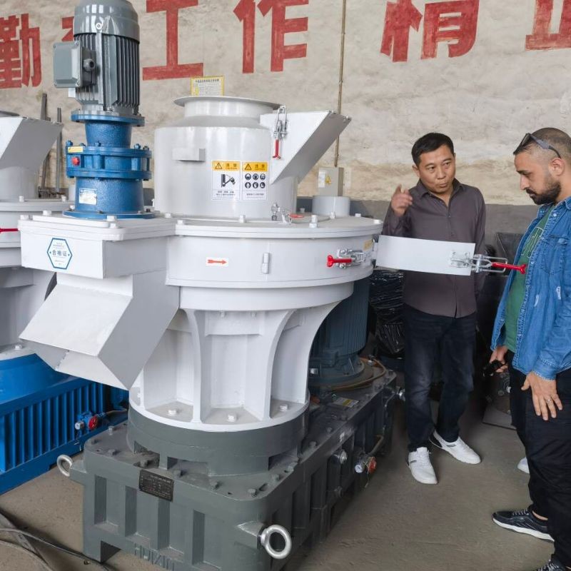 Large Capacity Vertical Ring Die Wood Pellet Machine For Sawdust