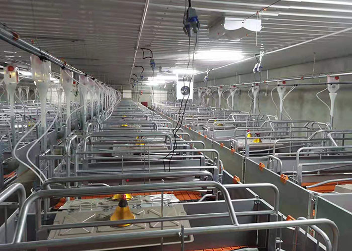 2.4*1.8m Pig Sow Farrowing Crate Pen