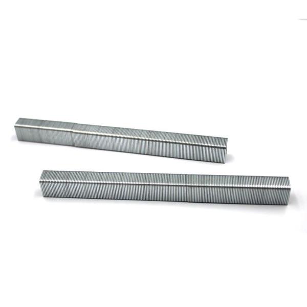 Steel 22 Gauge Staple 3/8 Crown 8mm Air Pneumatic Staple 7108 for Furniture