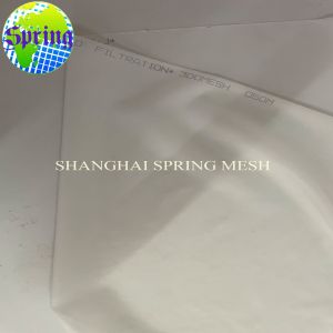 Polyester, Nylon, PPS, PEEK Filter Mesh for Food, Beverage, Chemical, Water,