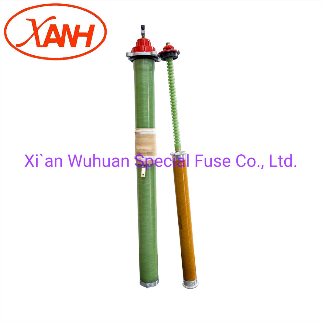 Sample Customization High Voltage Fuse Xrnt3-15.5q Model/High Voltage Current Limiting Fuse