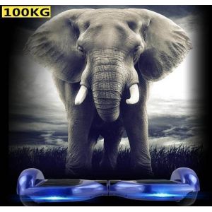 China TWO Wheel Self Balance Hover board Electric Skateboard/scooter  Factory  GK-F9 on sale