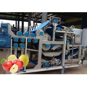 SUS 304 Apple Juice Processing Line Turnkey Projects Automation