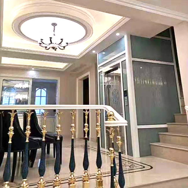 VVVF Stainless Steel Home Villa Elevator Metal Stoving Small Straight Elevator Ladder