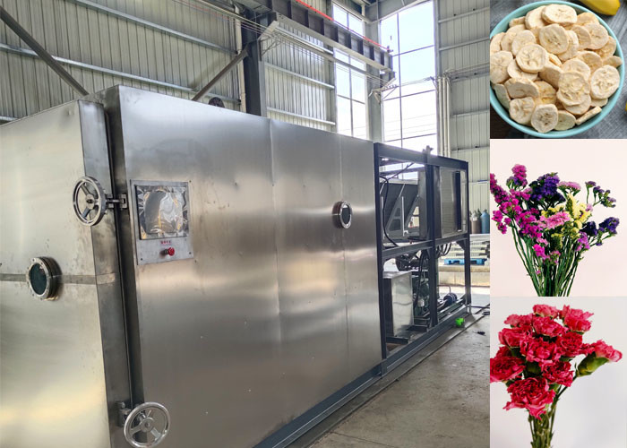 Industrial Food Vacuum Freeze Dryer For Large Scale Production
