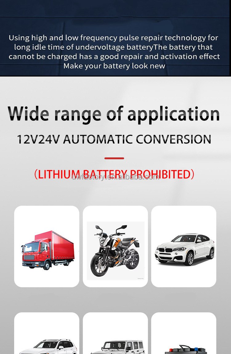 Private Mold Intelligent Battery Charger 10A12V 24V for Automatic Charger Car Motorcycle Boat Marine FCP Function