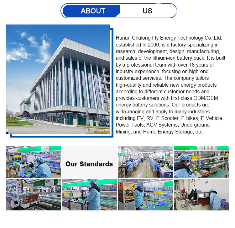OEM ODM LiFePO4 lithium battery 48V 100AH 200AH Deep Cycle For for solar system LiFePO4 energy storage battery