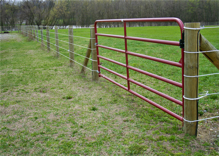Galvanized Powder Coated 1.17m Rural Farm Gate Livestock Handling Equipment