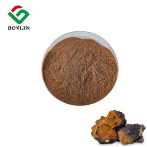 China Cas 9005-38-3 Chaga Mushroom Extract Powder Chaga Polysaccharide Health Care on sale