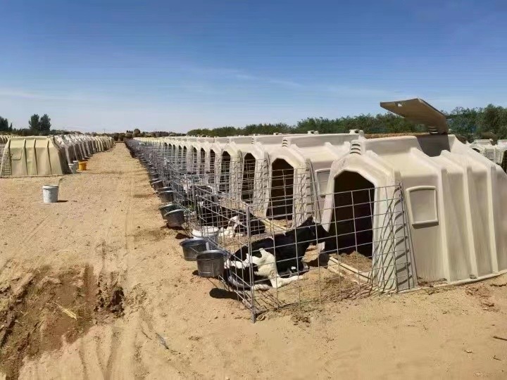 Calves Cage Livestock Farm Equipment Plastic Calf Shelter Anti UV